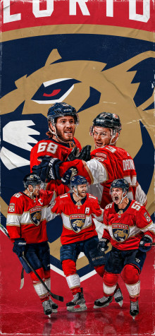 Florida Panthers iPhone 11 Pro Max Wallpaper 1242x2688px