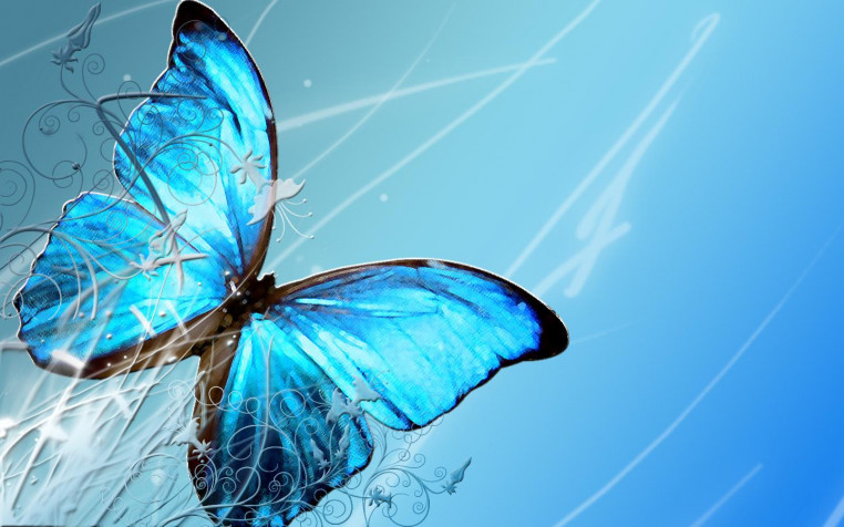 Butterfly Desktop Wallpaper 1440x900px