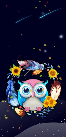 Owl Android Wallpaper Image 1080x2220px