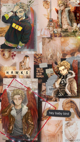 Keigo Hawks iPhone Background Image 1080x1919px