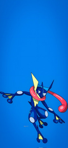 Greninja Phone Background Image 943x2048px