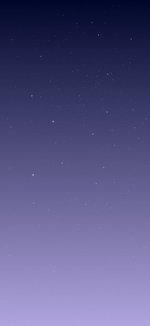 Purple Wallpaper for Mobile 947x2048px