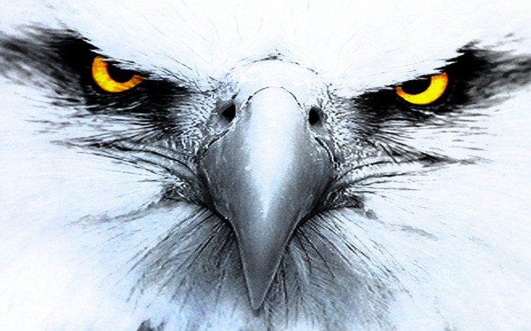  HD Wallpaper 1680x1050px