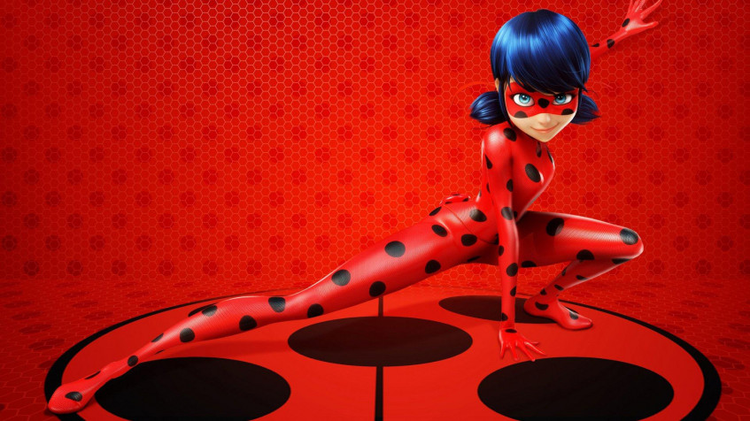 Ladybug Full HD 1080p Wallpaper 1920x1080px