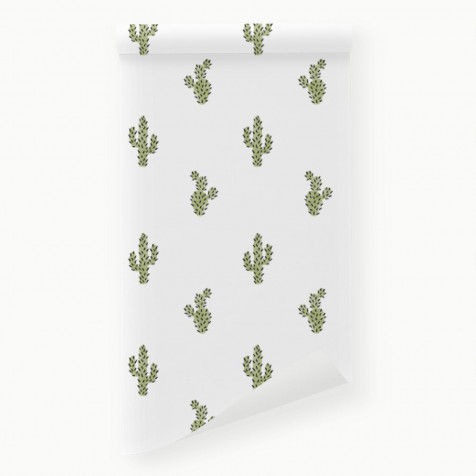 Cactus Phone Background 1400x1400px