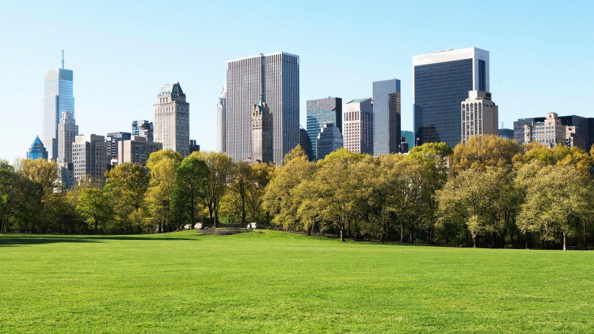 Central Park 2k QHD Wallpaper 2560x1440px