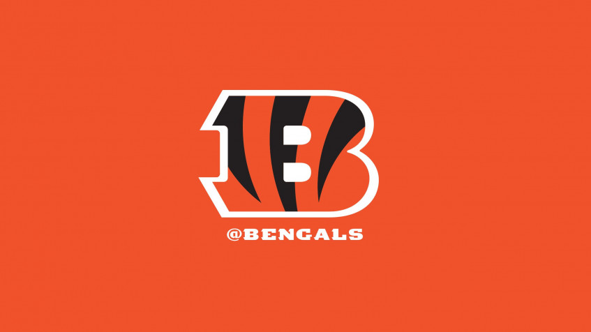 Cincinnati Bengals Logo Background Image 2568x1444px