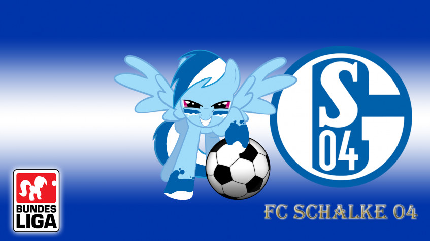 Fc Schalke Full HD 1080p Wallpaper 1920x1080px