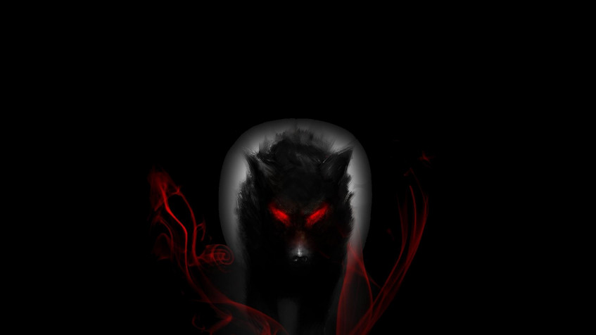 Black Wolf Full HD 1080p Wallpaper 1920x1080px