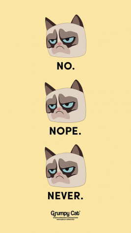 Grumpy Cat iPhone Background Image 1080x1920px