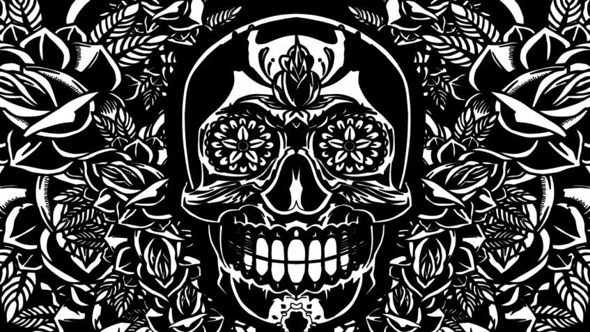 Skull Pc Full HD 1080p Wallpaper 1920x1080px