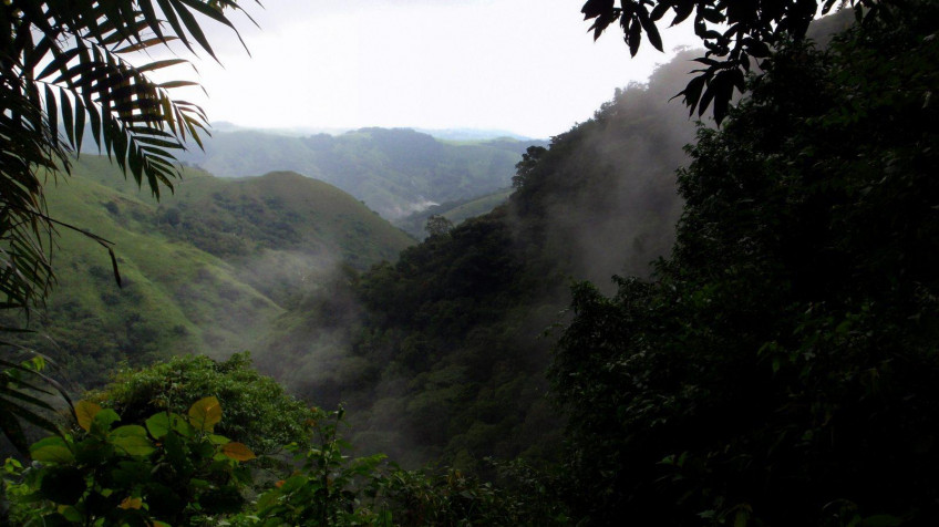 Monteverde Cloud Forest MacBook Background 1600x899px