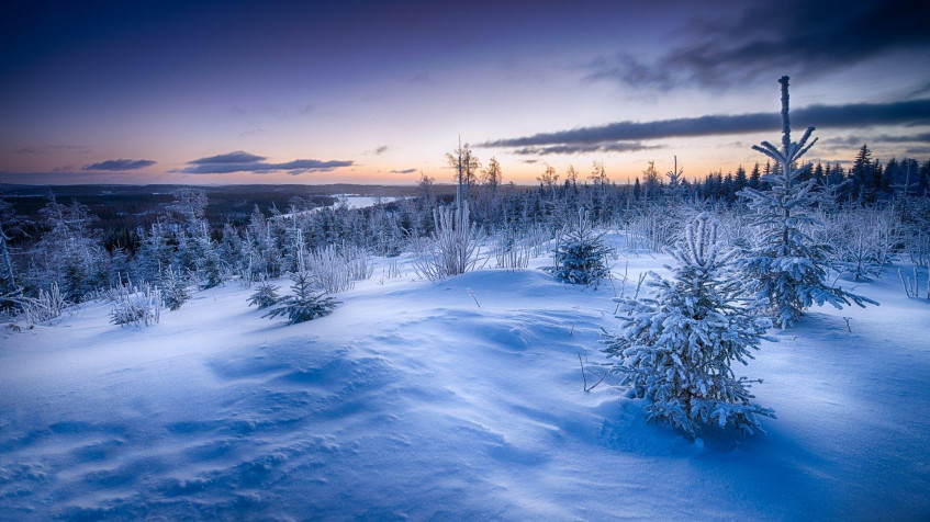 Winter Full HD 1080p Wallpaper 1920x1080px