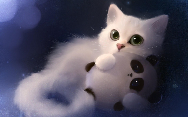 Cute Hd Widescreen HD Wallpaper 1920x1200px