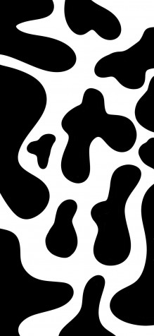 Cow Print iPhone 11 Pro Wallpaper 1125x2436px