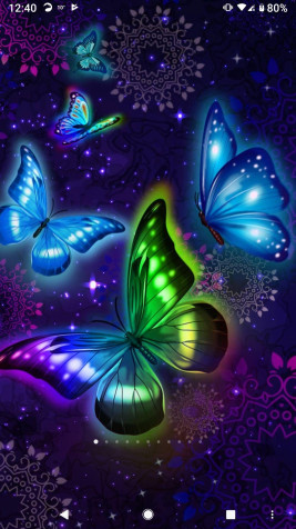 Butterfly Mobile Wallpaper 1080x1920px