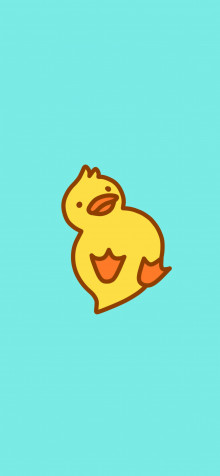 Duck Wallpaper for Mobile 1183x2560px