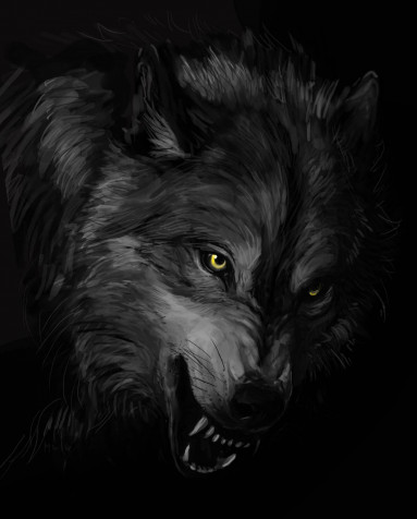 Black Wolf Phone Background 1548x1920px