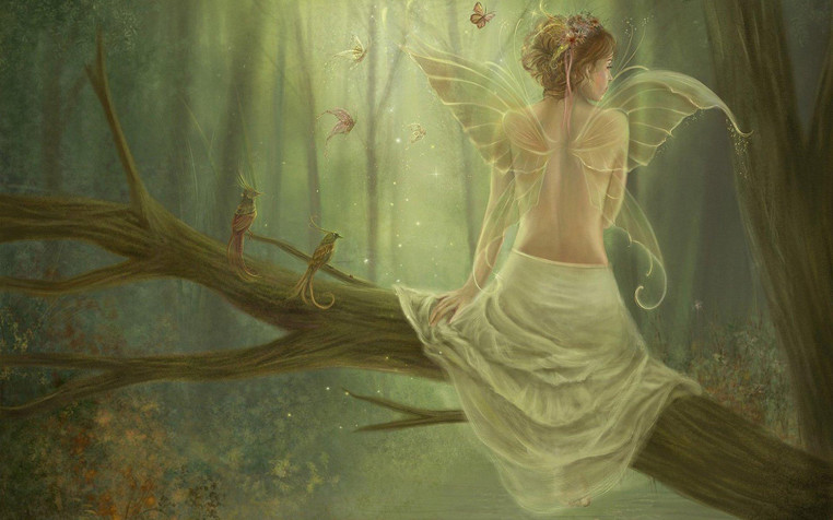 Fairy Widescreen HD Wallpaper 1920x1200px