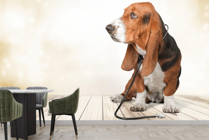 Basset Hound Dog Laptop Background 2000x1340px