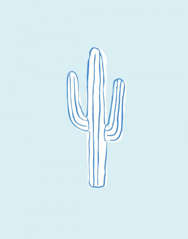 Cactus iPhone Wallpaper Image 1200x1521px