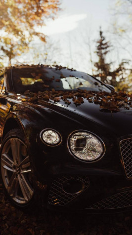 Bentley Wallpaper for Mobile 900x1600px