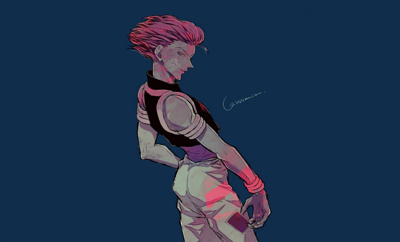 Hisoka Hd Wallpaper Image 1920x1162px