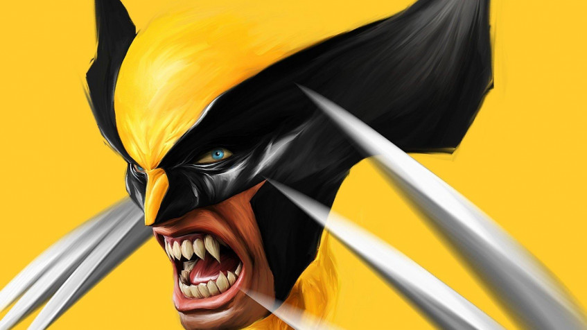 Wolverine Hd Full HD 1080p Wallpaper 1920x1080px