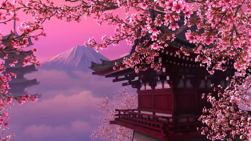 Japan Cherry Blossom Full HD 1080p Wallpaper 1920x1080px