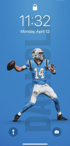 Carolina Panthers Phone Wallpaper 991x2048px