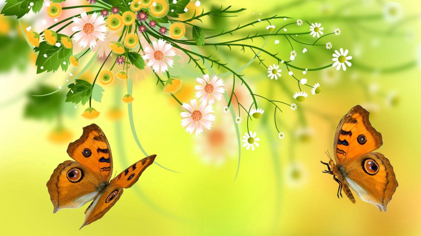 Butterflies Hd Full HD 1080p Wallpaper 1920x1080px