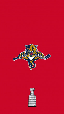 Florida Panthers Android Wallpaper Image 1080x1920px