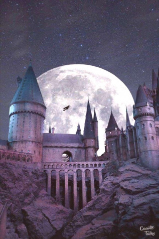 Harry Potter Wallpaper for Mobile 1080x1620px