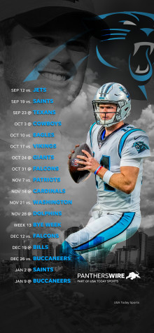 Carolina Panthers iPhone 11 Pro Max Wallpaper 1242x2688px