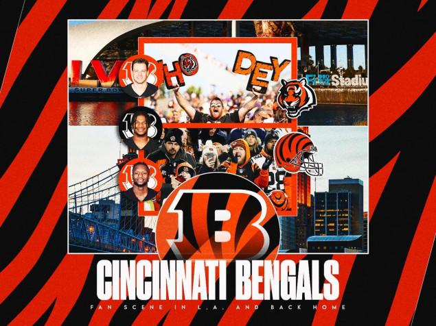 Cincinnati Bengals Logo Laptop Wallpaper 1280x960px