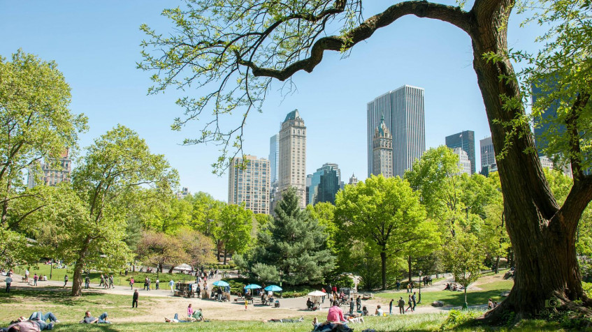 Central Park Desktop Background 1600x900px