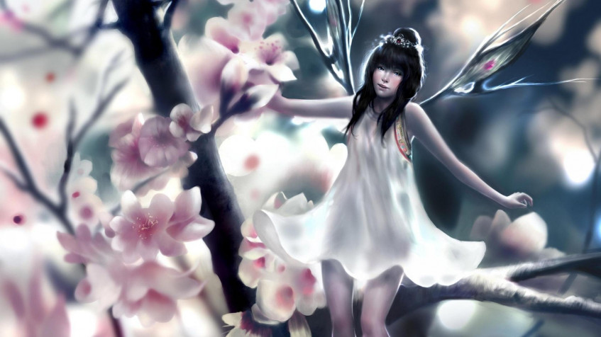 Fairy Full HD 1080p Wallpaper 1920x1080px