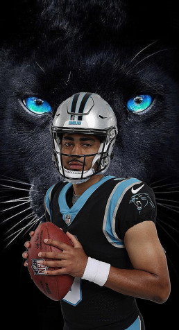 Carolina Panthers Wallpaper for Mobile 1040x1916px