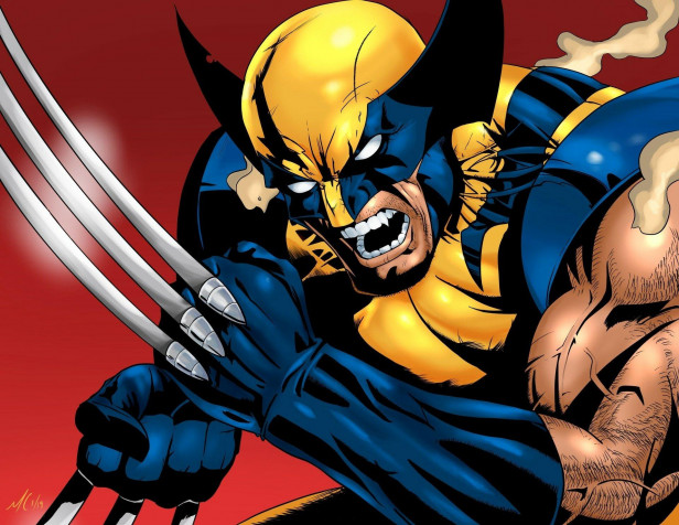 Wolverine Hd Desktop Wallpaper 1920x1484px