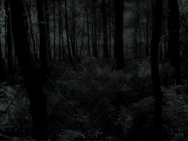 Dark Forest Laptop Background 1600x1200px