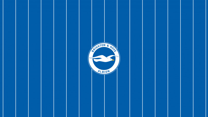 Brighton Fc 2k QHD Wallpaper 2560x1440px