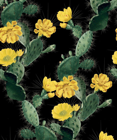 Cactus Phone Background Image 1100x1318px