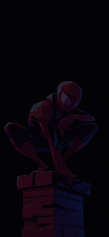 Aesthetic Spider Man Phone Wallpaper 1183x2560px