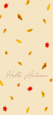 Fall iPhone 11 Pro Max Wallpaper 1242x2688px