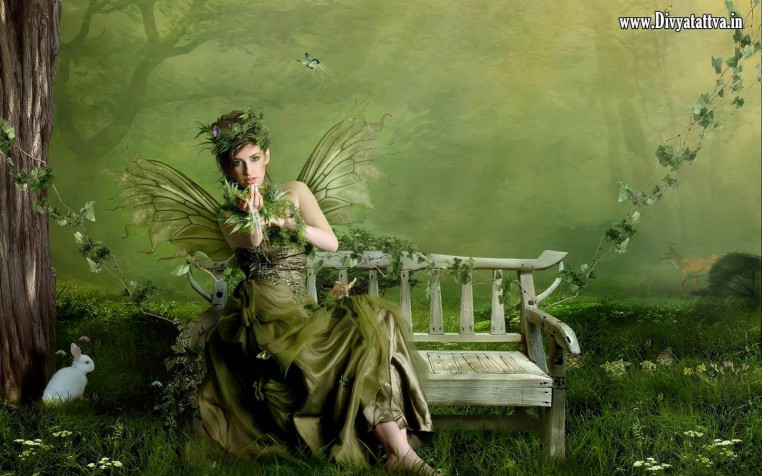 Fairy Wallpaper Image 1600x1000px