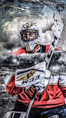 Florida Panthers iPhone Wallpaper 1079x1920px