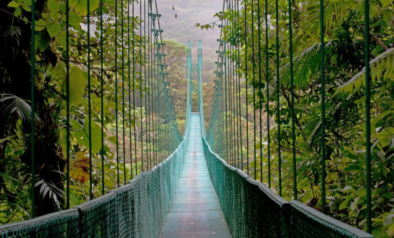 Monteverde Cloud Forest HD Wallpaper 1848x1120px