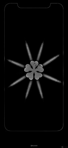 Clover Wallpaper for Mobile 1889x4096px