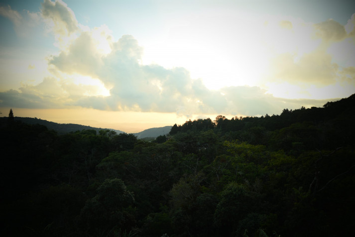 Monteverde Cloud Forest Laptop Wallpaper 4496x3000px