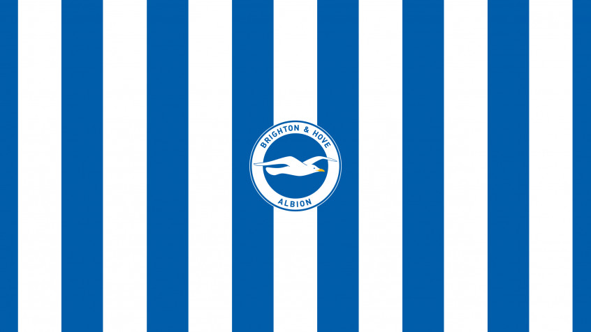 Brighton Fc 2k QHD Wallpaper 2560x1440px